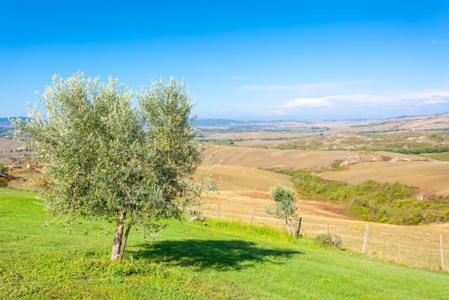 Villa Podere Belvedere Siena Bagian luar foto